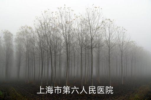上海市第六人民醫院