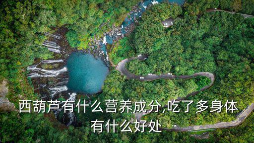  西葫蘆有什么營養成分,吃了多身體有什么好處