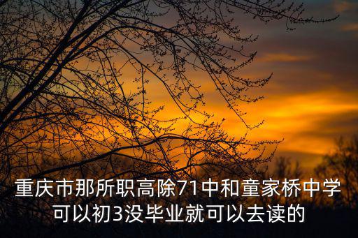 重慶市那所職高除71中和童家橋中學可以初3沒畢業就可以去讀的