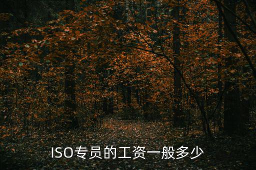 廣州中國移動ISO工程師待遇，ISO專員的工資一般多少