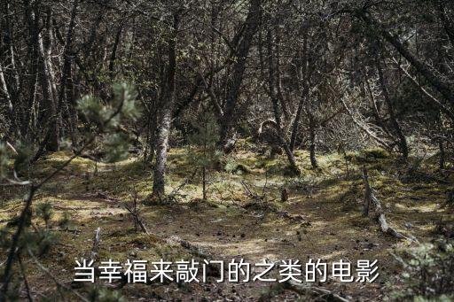 當幸福來敲門的之類的電影