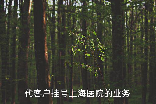 代客戶掛號上海醫院的業務