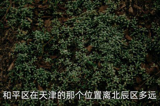 天津市和平區區位分析，天津市和平區