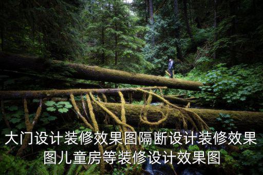 大門設計裝修效果圖隔斷設計裝修效果圖兒童房等裝修設計效果圖