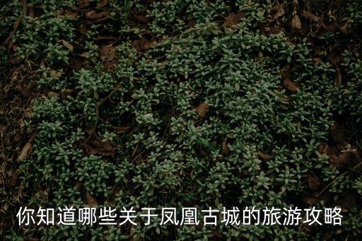 你知道哪些關(guān)于鳳凰古城的旅游攻略