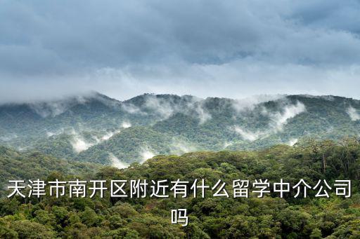 天津市南開(kāi)區(qū)附近有什么留學(xué)中介公司嗎