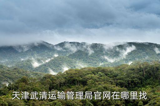天津市交通運輸局信息網，有天津運輸信息網嗎 我家的卡車想登記攬活