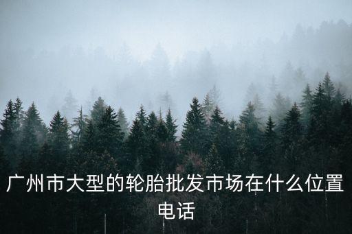 廣州市大肥佬輪胎有限公司，WLNGR是什么輪胎牌子