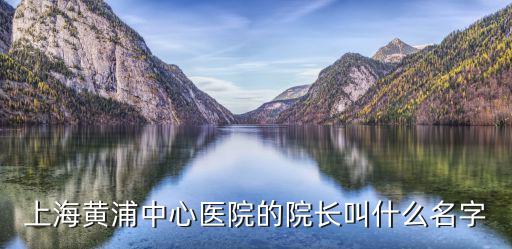 上海黃浦中心醫院的院長叫什么名字