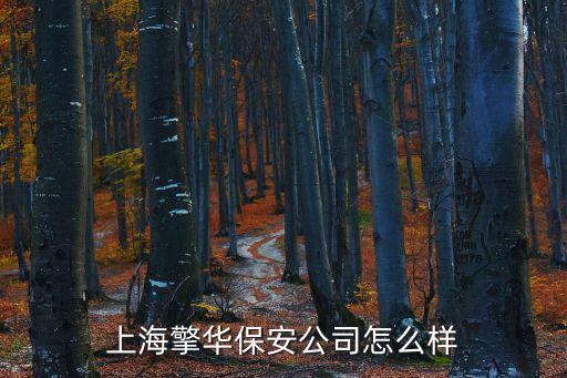 上海市擎，上海哪個品牌的水洗機質量最好