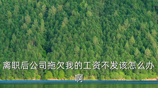 離職后公司拖欠我的工資不發該怎么辦啊