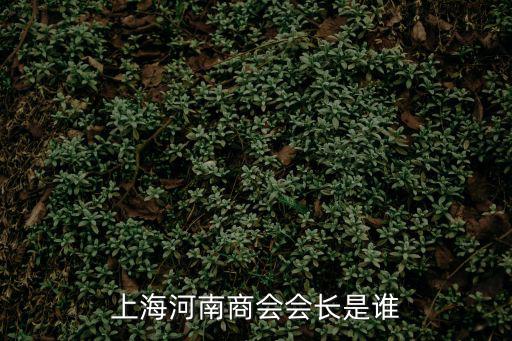 上海河南商會(huì)會(huì)長(zhǎng)是誰(shuí)