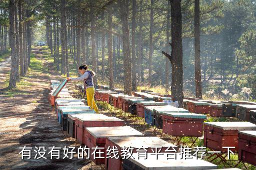 廣州線上教學平臺，廣州有哪些教育咨詢網站