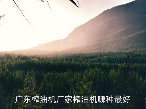 廣州山河機械設備有限公司，廣東榨油機廠家榨油機哪種最好