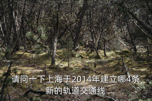 請問一下上海于2014年建立哪4條新的軌道交通線