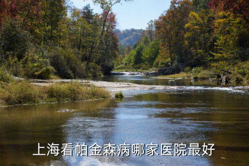上海治療帕金森最權威醫院，上海帕金森治療哪個醫院好
