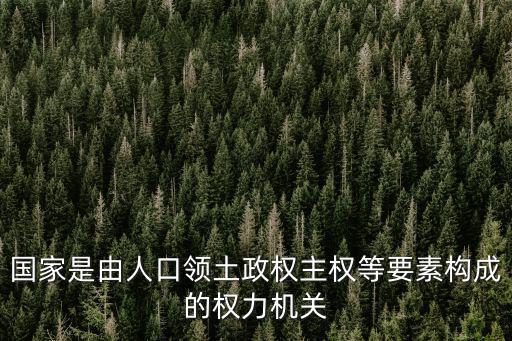 國家權力機關，國家是由人口領土政權主權等要素構成的權力機關