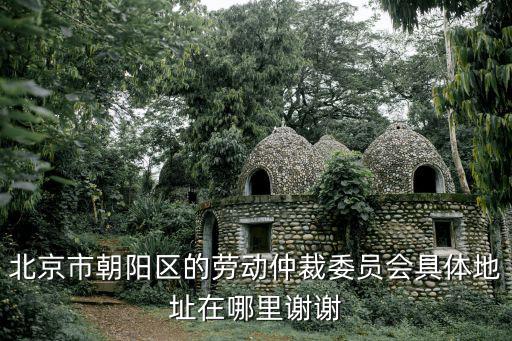 朝陽區勞動仲裁地址在哪里啊，北京市朝陽區的勞動仲裁委員會具體地址在哪里謝謝