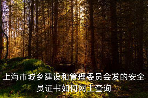 上海市城鄉(xiāng)建設(shè)和管理委員會發(fā)的安全員證書如何網(wǎng)上查詢