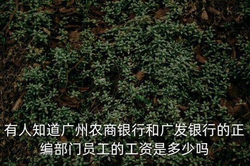 有人知道廣州農商銀行和廣發銀行的正編部門員工的工資是多少嗎