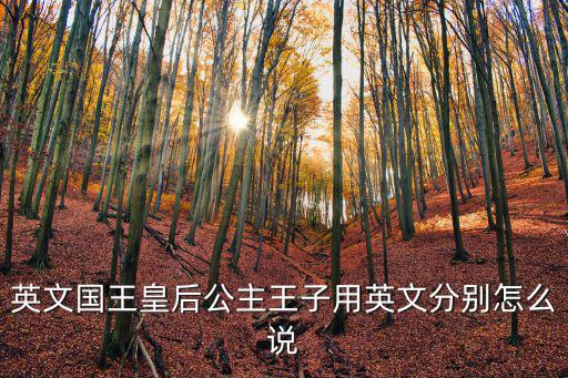 英文國王皇后公主王子用英文分別怎么說