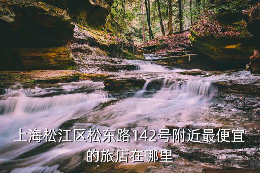 上海松江區松東路142號附近最便宜的旅店在哪里