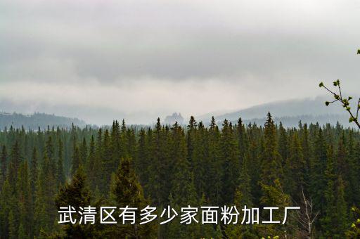 武清區(qū)有多少家面粉加工廠