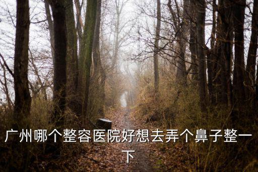 廣州哪個整容醫院好想去弄個鼻子整一下