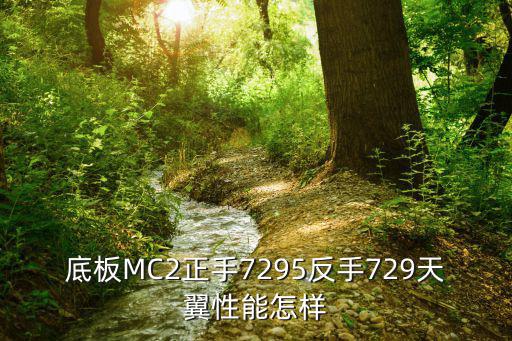 底板MC2正手7295反手729天翼性能怎樣