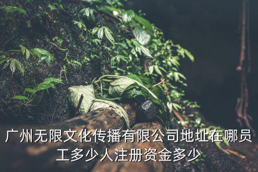 廣州無限文化傳播有限公司地址在哪員工多少人注冊資金多少