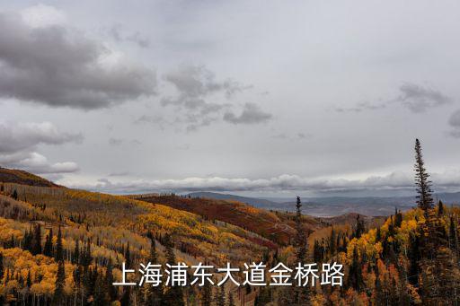 上海浦東大道金橋路