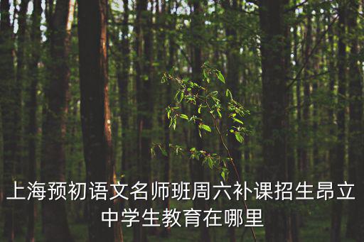 上海預初語文名師班周六補課招生昂立中學生教育在哪里