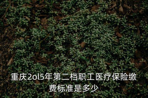 重慶2ol5年第二檔職工醫療保險繳費標準是多少