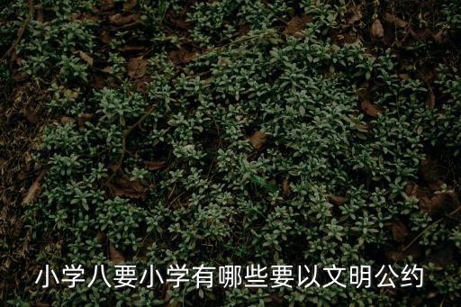 小學八要小學有哪些要以文明公約