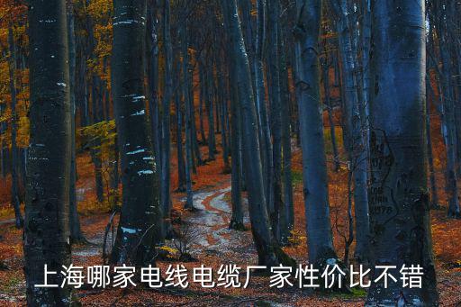 上海哪家電線電纜廠家性價比不錯