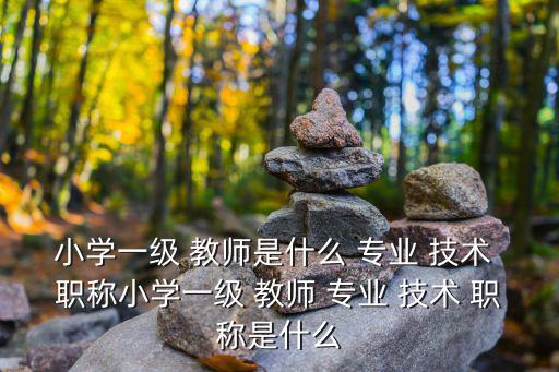 小學一級 教師是什么 專業 技術 職稱小學一級 教師 專業 技術 職稱是什么