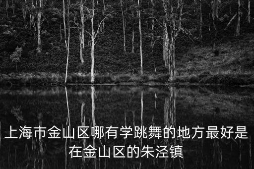 上海市金山區哪有學跳舞的地方最好是在金山區的朱涇鎮