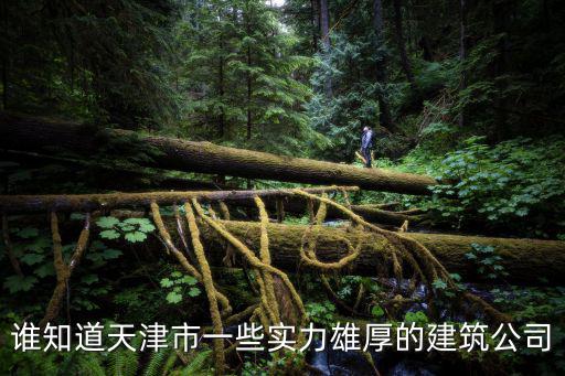 天津市住一建筑公司，天津天一建設集團有限公司怎么樣已經簽就業協議了謝謝 好的加