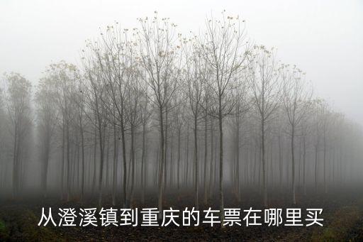 從澄溪鎮(zhèn)到重慶的車票在哪里買