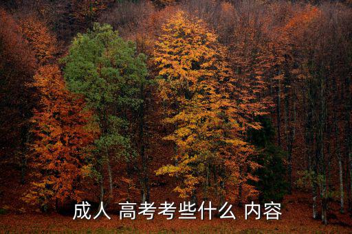  成人 高考考些什么 內容