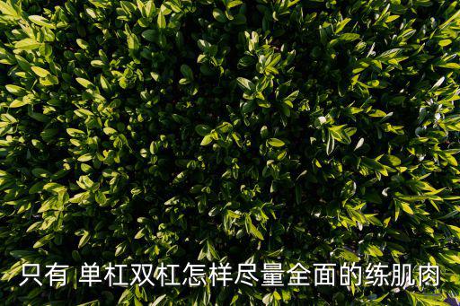 單杠練腹肌,怎么練腹肌?可以試試這四種運動!