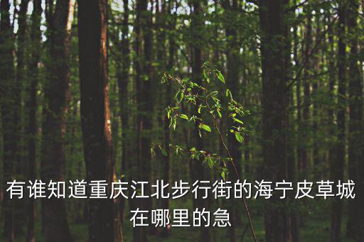 有誰知道重慶江北步行街的海寧皮草城在哪里的急
