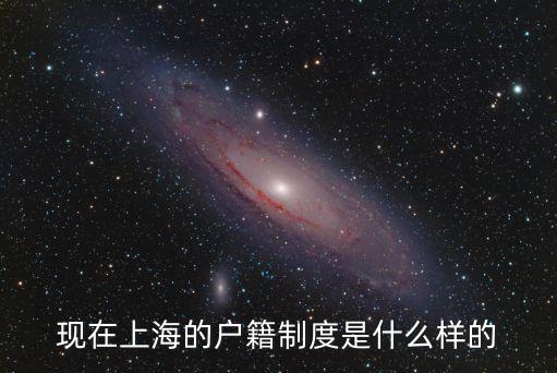 現在上海的戶籍制度是什么樣的