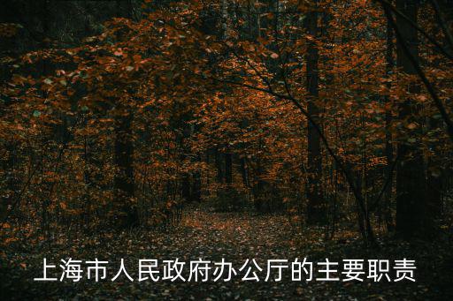 上海市政府辦公廳黨政辦公室，上海市委市政府辦公廳是一個單位嗎還是一套人馬兩個班子