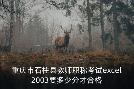 重慶市石柱縣人力考試信息，2011重慶市各區縣的公務員考試時間在重慶人力資源網上能查找到嗎