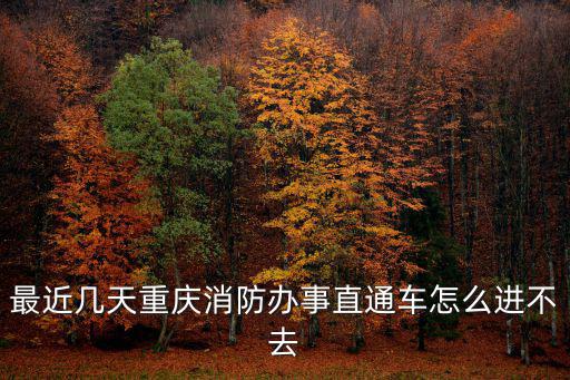 最近幾天重慶消防辦事直通車怎么進不去