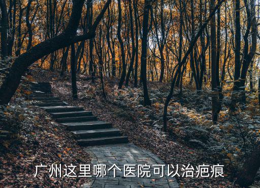 廣州哪里有好的去疤痕醫(yī)院，廣州這里哪個(gè)醫(yī)院可以治疤痕