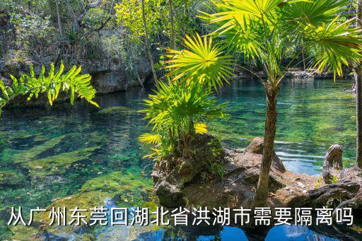 從廣州東莞回湖北省洪湖市需要隔離嗎
