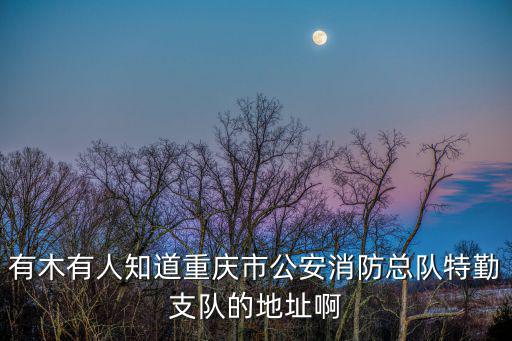 有木有人知道重慶市公安消防總隊特勤支隊的地址啊