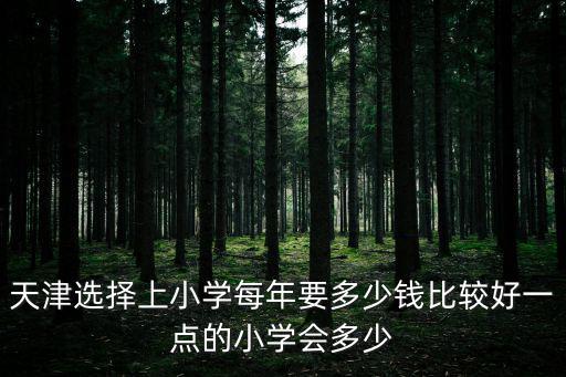 天津選擇上小學每年要多少錢比較好一點的小學會多少